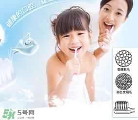 獅王牙刷怎么辨別真假？獅王牙刷真假對比