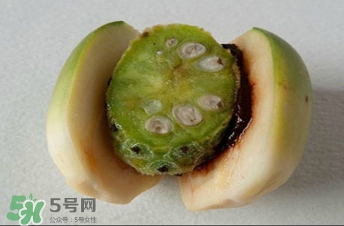 檳榔可以咽下去嗎?檳榔咽下去怎么辦 檳榔可以咽下去嗎?檳榔咽下去怎么辦