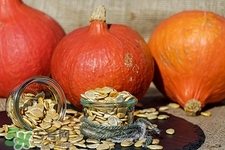 南瓜子可以多吃嗎?南瓜子吃多了有什么副作用 南瓜子可以多吃嗎?南瓜子吃多了有什么副作用