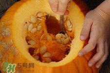 南瓜子可以多吃嗎?南瓜子吃多了有什么副作用 南瓜子可以多吃嗎?南瓜子吃多了有什么副作用