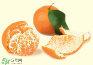 新鮮橘子皮能泡水喝嗎？新鮮橘子皮泡水喝的功效