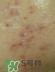 碧柔卸妝乳怎么用？碧柔卸妝乳使用方法