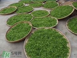 酸棗葉哪里有賣?酸棗葉的功效與作用 酸棗葉哪里有賣?酸棗葉的功效與作用