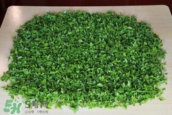 酸棗葉哪里有賣?酸棗葉的功效與作用 酸棗葉哪里有賣?酸棗葉的功效與作用