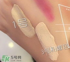 紀(jì)梵希氣墊粉底多少錢(qián)？紀(jì)梵希氣墊粉底價(jià)格