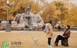 也許星星會帶走你的悲傷多少錢？也許星星會帶走你的悲傷價格