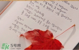 也許星星會帶走你的悲傷多少錢？也許星星會帶走你的悲傷價格