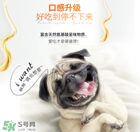 狗狗營(yíng)養(yǎng)膏什么牌子好？狗狗營(yíng)養(yǎng)膏多少錢(qián)？