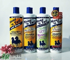 洗發(fā)水什么牌子好？洗發(fā)水2017品牌排行榜