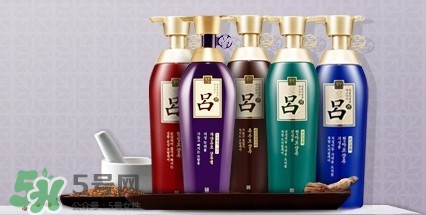 洗發(fā)水什么牌子好？洗發(fā)水2017品牌排行榜