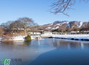 冬至要上墳嗎？冬至為什么要上墳？