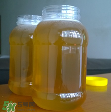 冬蜜好還是春蜜好？冬蜜和春蜜的區(qū)別