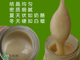 冬蜜是什么蜜？冬蜜的功效與作用