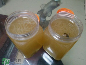 冬蜜多少錢一斤？冬蜜如何辨別真假？