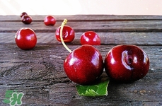 車?yán)遄影l(fā)苦是什么原因?車?yán)遄影l(fā)苦能吃嗎 車?yán)遄影l(fā)苦是什么原因?車?yán)遄影l(fā)苦能吃嗎