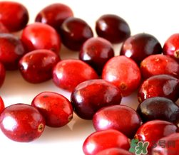 蔓越莓可以和什么一起榨汁？蔓越莓榨汁搭配