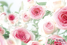 歐舒丹哪個系列產(chǎn)品最值得購買 歐舒丹哪個系列產(chǎn)品最值得購買