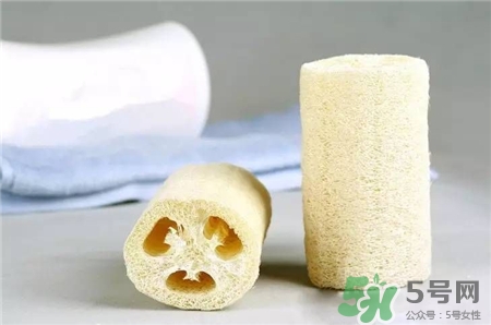 絲瓜絡可以吃嗎?絲瓜絡的功效與作用