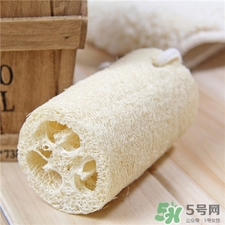 絲瓜絡可以吃嗎?絲瓜絡的功效與作用