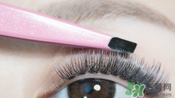 單簇假睫毛怎么貼,單簇假睫毛貼法步驟圖 單簇假睫毛怎么貼,單簇假睫毛貼法步驟圖