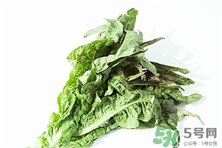 萵筍葉子的營養(yǎng)價值 萵筍葉子的功效與作用 萵筍葉子的營養(yǎng)價值 萵筍葉子的功效與作用