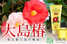 大島椿護(hù)發(fā)精油能涂臉嗎？大島椿發(fā)油的身體護(hù)理用法