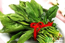 菠菜不能和什么一起吃？菠菜和什么食物相克嗎？