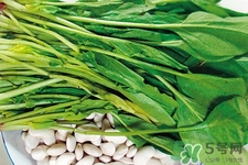 菠菜不能和什么一起吃？菠菜和什么食物相克嗎？