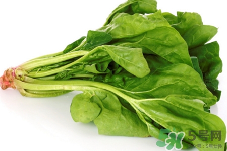 菠菜熱量高嗎？菠菜吃多了會(huì)發(fā)胖嗎？