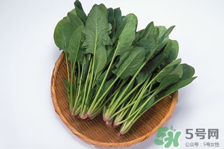 吃菠菜能減肥嗎？3日菠菜減肥食譜減肥不反彈