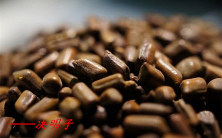 決明子有助于睡眠嗎 決明子的藥用價值