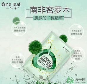 一葉子是哪個國家的？一葉子面膜是哪個國家的？