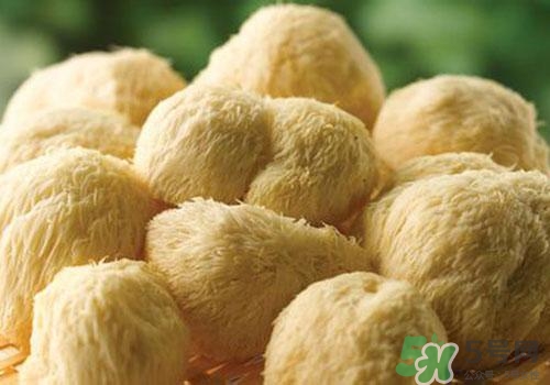 猴頭菇苦可以吃嗎？猴頭菇苦怎么回事？