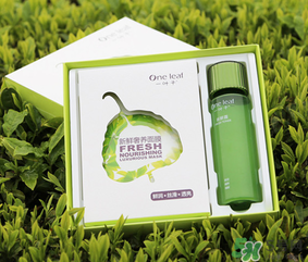 一葉子面膜怎么用？一葉子面膜使用方法