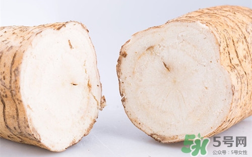 粉葛是什么東西?粉葛的功效與作用 粉葛是什么東西?粉葛的功效與作用