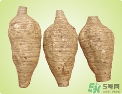 粉葛是什么東西?粉葛的功效與作用 粉葛是什么東西?粉葛的功效與作用