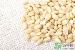 麥仁怎么做好吃?麥仁的功效與作用 麥仁怎么做好吃?麥仁的功效與作用