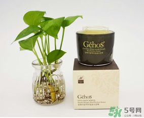 姬存希是哪個國家的？姬存希是哪里產(chǎn)的？