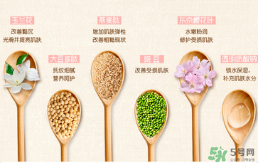 一葉子套裝怎么用？一葉子套裝使用說明