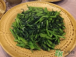 灰菜是什么菜?灰菜的功效與作用 灰菜是什么菜?灰菜的功效與作用