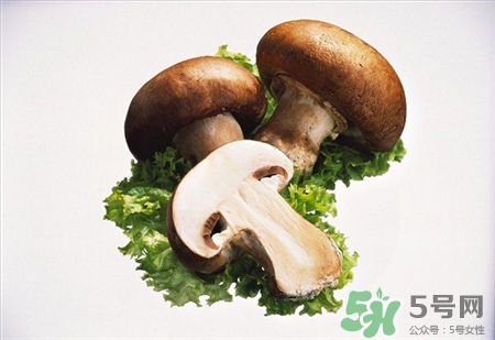 褐菇的營(yíng)養(yǎng)價(jià)值 褐菇的功效與作用 褐菇的營(yíng)養(yǎng)價(jià)值 褐菇的功效與作用