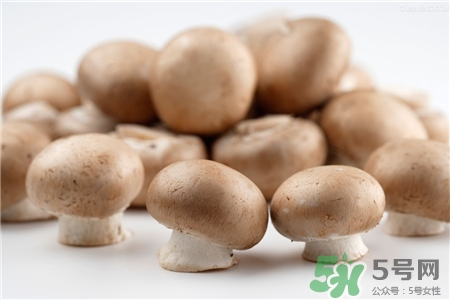 褐菇的營(yíng)養(yǎng)價(jià)值 褐菇的功效與作用 褐菇的營(yíng)養(yǎng)價(jià)值 褐菇的功效與作用