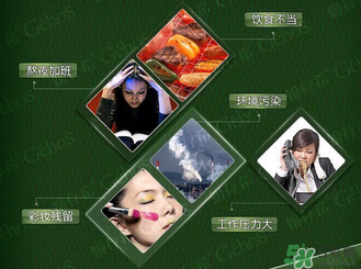 姬存希黃瓜膠多少錢？姬存希黃瓜膠價格