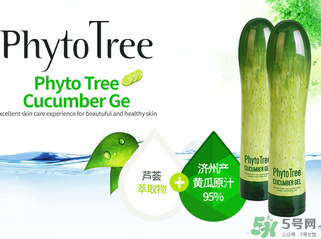 姬存希黃瓜膠多少錢？姬存希黃瓜膠價格