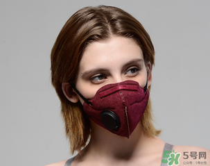 pm2.5口罩多少錢？pm2.5口罩價(jià)格
