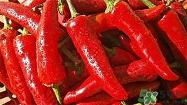 吃辣椒嗆到氣管怎么辦?食用辣椒注意事項(xiàng)