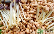 花生芽的營(yíng)養(yǎng)價(jià)值 花生芽的功效與作用 花生芽的營(yíng)養(yǎng)價(jià)值 花生芽的功效與作用