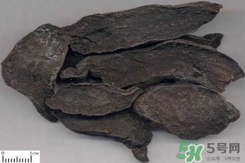 何首烏可以生吃嗎?何首烏生吃有毒嗎 何首烏可以生吃嗎?何首烏生吃有毒嗎