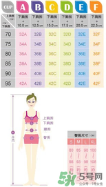 都市麗人內(nèi)衣怎么樣？都市麗人尺碼表