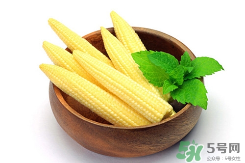 玉米筍是什么?玉米筍的功效與作用